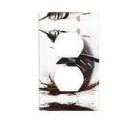 YYHWHJDE The Power of a Tornado Picture Double Socket Wall Panel Electrical Socket Cover Plate is Shatter Resistant and Durable 4.5x2.76in
