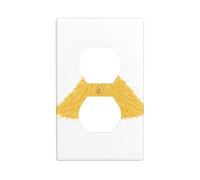 YYHWHJDE The Straw Piled up into a Hill Pattern Double Socket Wall Panel Decorative is Durable and Suitable for Socket Light Switch Accessories 4.5x2.76in