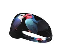 YYHWHJDE They Love Each Other Picture Sports Headband for Women Sweat Proof Bandeau Summer Elastic Band