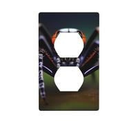 YYHWHJDE Tropical Rainforest Spiders Picture Double Socket Wall Panel Decorative is Durable and Suitable for Socket Light Switch Accessories 4.5x2.76in