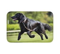 YYHWHJDE Trotting Flat Coated Retrievers Paw Picture Anti Slip and Thickened Floor mat Suitable for bathrooms, bedrooms, Washable Carpet Floor mats 16X24 in