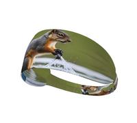 YYHWHJDE Water Skiing Fox Squirrel Picture Sports Headband for Women Sweat Proof Bandeau Summer Elastic Band