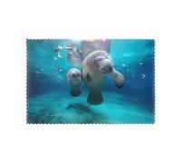 YYHWHJDE West Indian Manatees Prints Quality Table Throw Layers for Dining, Heat Resistant Placemats Set of 6, Durable Polyester Table Covers with Printed Designs