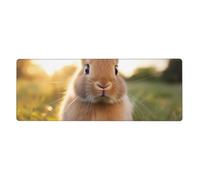 YYHWHJDE White-Eared Rabbit Pattern Extra Large Mouse Pad, Computer Office Anti Slip Gaming Keyboard Thickened Version 12x31.5in