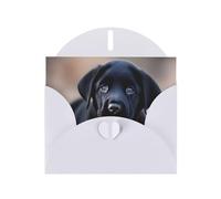 YYHWHJDE White Greeting Card Black Labrador Puppy Pattern for Festive Birthday Party Invitation