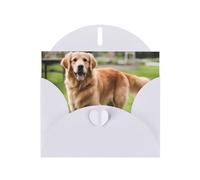 YYHWHJDE White Greeting Card cute golden retriever Pattern for Festive Birthday Party Invitation