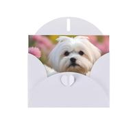 YYHWHJDE White Greeting Card Lovely Maltese Dog Prints for Christmas, Children's Birthday, Valentine's Day, and Party Invitation