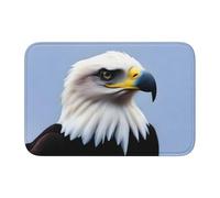 YYHWHJDE White Headed Sea Eag Picture Crystal Velvet Lock Edge Floor mat, Bedroom Carpet, Parlor, Dormitory Home Decoration