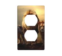 YYHWHJDE Wild Animals Pattern Double Socket Wall Panel Decorative for Residential and Commercial Areas 4.5x2.76in