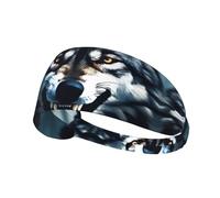 YYHWHJDE Wolf with Bared Fangs Picture Sports Headband for Women Sweat Proof Bandeau Summer Elastic Band