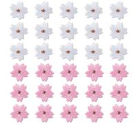 YYlingx 30Pcs 2 Styles Colorful Sakura Embroidered Patches, Flower Applique, Cherry Blossoms Decorative Patches for Jackets, Hats, Backpacks, Jeans, DIY Clothes, Pink, White, 2.5*2.3cm