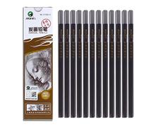 YYMIYU Carbon Painting Pencil Charcoal Drawing Sketch Pencils 12 Piece Hard