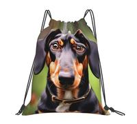 Yyoretp Dachshund Weiner Pet Dogs Print Drawstring Backpack Sports Gym Beach Sack Dance Yoga Cinch Bag for Women Men