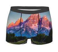 Yyoretp grand teton national park Print Men's Boxer Briefs,Stretch Fit Underwear Microfibre shorts Gents for Everyday Wear Black