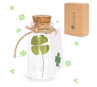 YYSWSAKY Lucky Charm, Real Four Leaf Clover in Glass Bottle with Cork, Thank You Gifts, Lucky Charm Exam, Small Gift for Happiness, Courage Gift (Green)