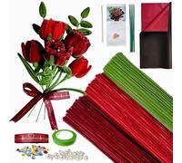 YYUENG TAK 200pcs Red Pipe Cleaners for Craft Flowers,Pipe Cleaners for Rose Bouquet, Chenille Stems Arts & Crafts with Tutorial,Fuzzy Sticks Craft Supplies for Flower DIY Craft Kit Gift