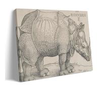 YYUEQIL Albrecht Dürer Prints The Rhinoceros Wall Art Painting On Canvas Wall Art Scroll Picture Print Living Room Walls Decor Homes Frame 16x24inch(40x60cm)