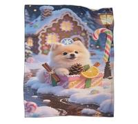 YYVKPMLXC Pomeranian Puppy Bed Blanket 3D Pattern Festival Scenery Flannel Throw Blanket Soft Warm for Adults Travel 60x80inch(150x200cm)