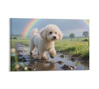 YYVKPMLXC Wall Art Bichon Frise Dog Canvas Prints Post - Rain Rainbow Countryside Giclee Artwork Decor by Paintings Ready To Hang for Home Office Decorations 08x12inch(20x30cm)