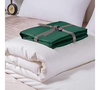 YZCIS Luxury Silk Covered Silk Comforter for Winter, 2in1 100% Silk Removable Duvet Cover Plus 100% Silk Comforter, Queen Size, Emerald Green