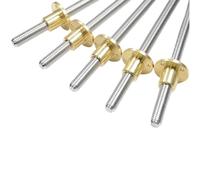 YZDKR T6 Lead Screw 304 Stainless Steel Diameter 6mm Pitch 1mm Lead Screw With Brass Nut for 3D printer lead screws(Picth 1mm lead 2mm,250mm)