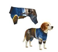 YzgWjBhd Airplane in The Evening Light Printed Pet Onesie