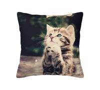 YzgWjBhd Cat Personalized Square Cushion Cover 30cm x 30cm, Printed Funny Soft Decorative Pillow Case for Living Room Bed Sofa
