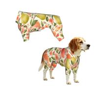 YzgWjBhd Coral Orchard Printed Pet Onesie | Stretch Pet Outfit For Daily Walks, Home Lounging, Photos, Weekend Trips, And Holiday Gatherings