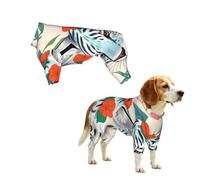 YzgWjBhd Cute White Tiger Printed Pet Onesie