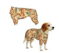 YzgWjBhd Desert Trail Mandala Printed Pet Onesie