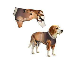 YzgWjBhd Horses Printed Pet Onesie | Stretch Pet Outfit For Daily Walks, Home Lounging, Photos, Weekend Trips, And Holiday Gatherings