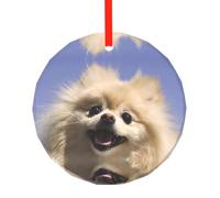 YZHYWJFF Cute Pomeranian Printed Circular Glass Pendant, Christmas Tree Decoration