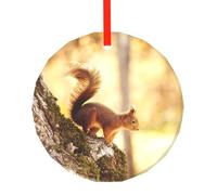 YZHYWJFF Funny Squirrel Printed Circular Glass Pendant, Christmas Tree Decoration