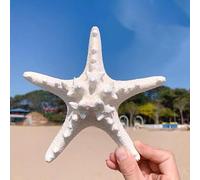 YZHZOM Large starfish, 5-6inch/13-15cm, natural real starfish, starfish decor, star fish shells decorations Flat Sea Stars for beach Crafts, Wedding Ocean Themed Home Accent Decor