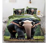 YZQGLHP Asian Elephant Bedding Super King Bed Set - Animals Duvet Cover Sets 3 Pieces - Reversible Printed Quilt Cover and 2 Pillowcases - Soft Brushed Microfiber, with Zipper Closure