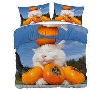 YZQGLHP Cat Super King Duvet Cover Sets, Orange Persimmon Bedding Cosy Microfiber Durable Cover with 2 Pillow Cases 50x75cm, with Zipper Closure
