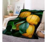 YZQGLHP Lemons Throw Blanket Fruit 3D Flannel Blanket 70x100 cm, Lightweight Microfiber Versatile Blankets and Throws for Bed Sofa Settees Couch Office