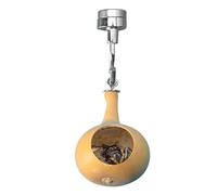 yztju Jumping Spider House with Magnetism Hiding a Nest | Light Weight Made from Natural Pumpkins for Jumping Spiders