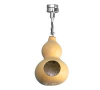 yztju Jumping Spider House with Magnetism Hiding a Nest | Light Weight Made from Natural Pumpkins for Jumping Spiders