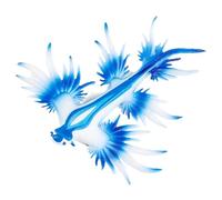 yztju Sea Snail Figure, Octopus Sculpture | Toy Model Sea Animal - Simulation Figurines Sea SnailsToy Models, Small Snail And Octopus Statue