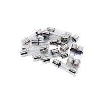 YZWHKJ Glass Tube Fuse,Fast Blow Glass Fuses Glass Fuse Fast Fuse 0.1A 0.5A 1A 2A 3A 3.15A 4A 5A 6A 7A 8A 10A 12A 15A 20A 25A 30A Quick Blow 5x20mm 6x30mm(15A,6x30mm)