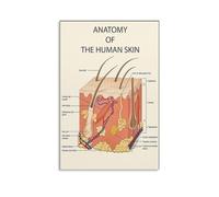 YZWRWRMKTB The Human Skin Map, Complete Anatomy Poster for Estheticians, Clear & Laminated Reference Guide for Facial Spa, Salon, Beauty Studio Decor(Framed,08x12inch(20x30cm))