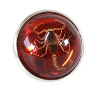 YZYDF Stylish Round Scorpion Rings Adjsuatble Opening Rings Resin Statement Unique Finger Jewellery Trendy Couple Gift, Amber