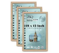 Z&Q -Pack of 3 18x12-Inch Sturdy MDF Wood Poster Frame | Solid Back Clip | Shrink-Wrapped Finish Perfect for Home, Office & Dorm to Display Arts & Achievements - Beech