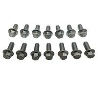 Z Whip Metric 14pc Differential Cover Bolt Kit M8-1.25x20MM Flange Bolts Compatible With 1998-Current Chevrolet GMC Silverado Sierra Tahoe Suburban 10-Bolt 14-Bolt Rear Ends Metric Threads Dodge Ram
