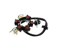 Z190 Stator Fit For ZongS 2V 190cc Electric Start Pit Dirt Bike the engine code No ZS1P62YML-2