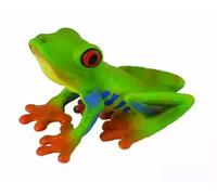 Żaba czerwonooka rzekotka drzewna M Collecta