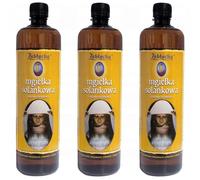 ZABŁOCKA Solenebel 3 x 950 ml Natural Iodine Bromine Sole from 500 m Depth pH Neutral and Mineral Rich Ideal for Inhalation Skin Care and Relaxation in Everyday Life (Pack of 3)