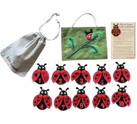 ZAC HOME Ladybird Finger Puppet Set - 10 Numbered Ladybirds with Detachable Wings for Counting - Felt Puppets with Leaf Storage Bag for Kids Learning & Storytelling