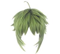 ZACKZIK Drifters Cosplay wig for Mushoku Tensei Sylphiette